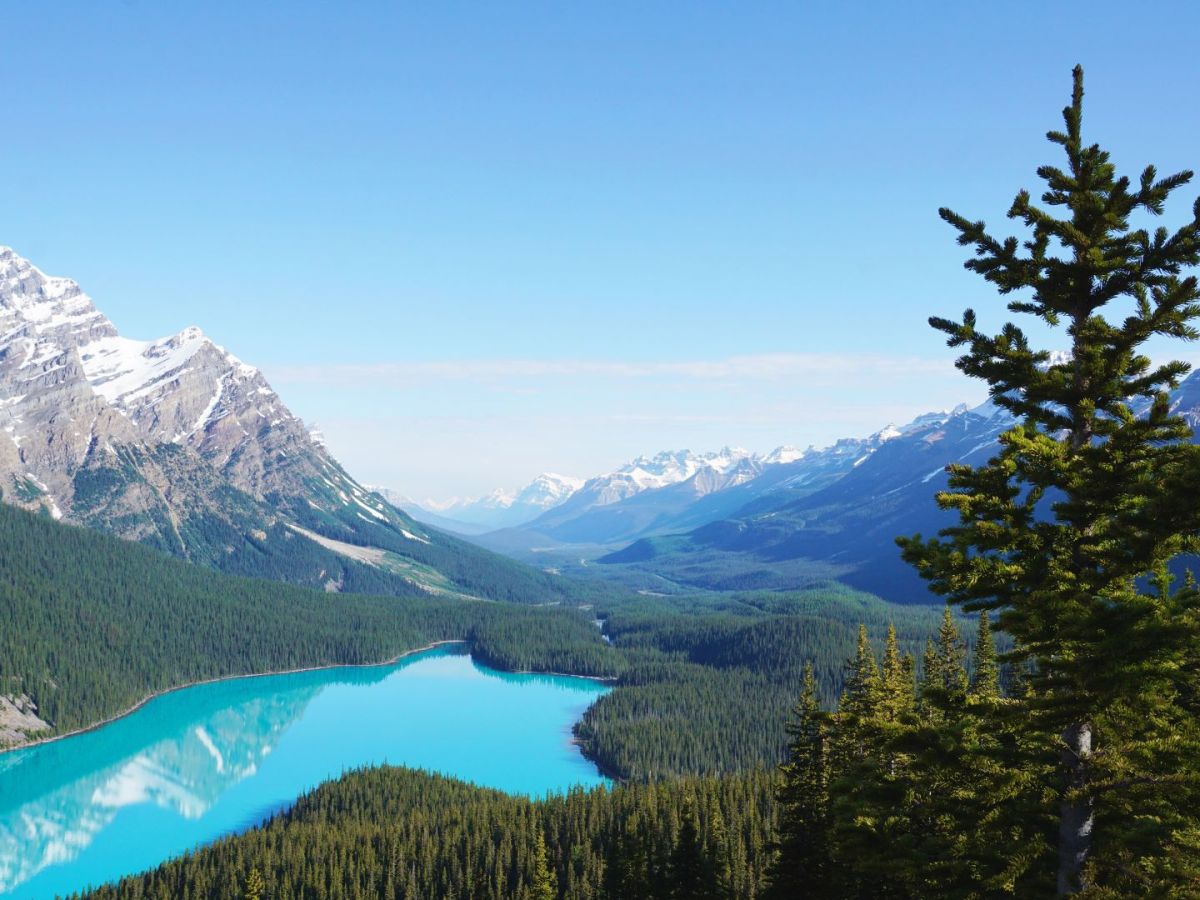 Trump’s National Security Strategy Ends Canada’s Security&nbsp;Discount